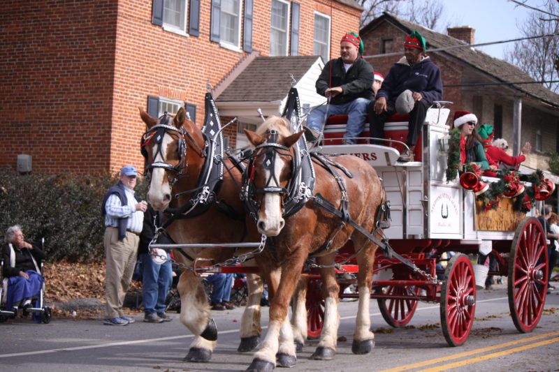 The horses are back! The horses are back! Deadline for Christmas Parade: Sept. 30