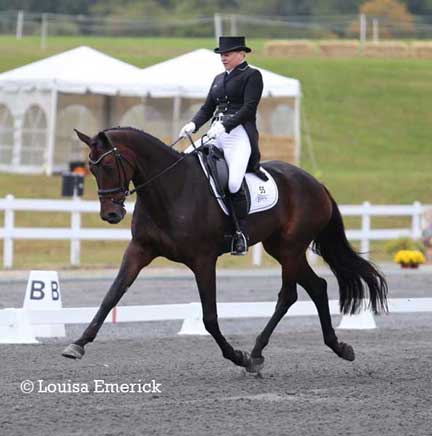 Marilyn Little & RF Scandalous are leading the CCI3* at FHI.