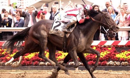 Cloud Computing wins the Preakness Stakes in front of a record crowd