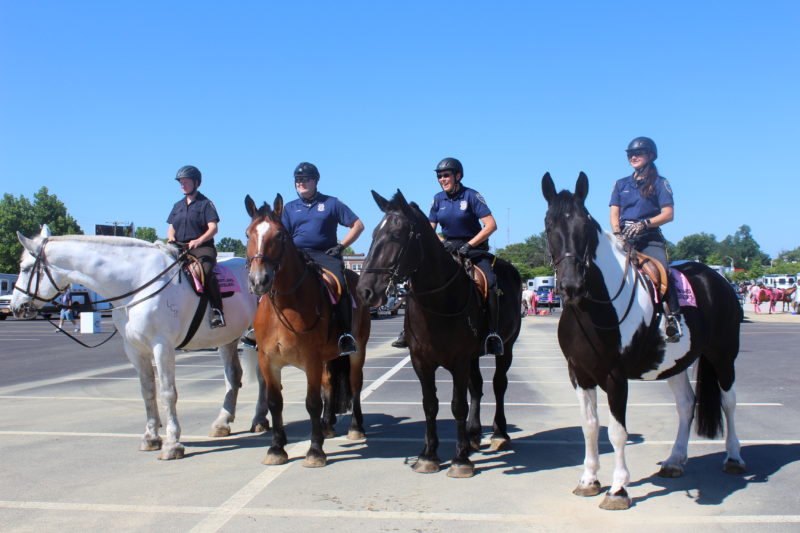 Baltimore Police Horses to stable soon at B&O Railroad Museum