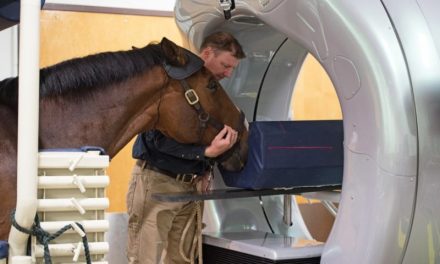 NEW Innovations and Technologies in Vet Medicine at EMC