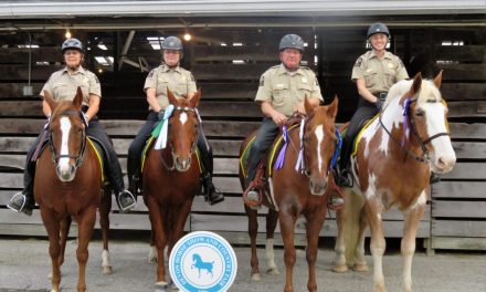 HoCo Volunteer Mounted Patrol at N.American Police Equestrian Council Champs