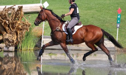 Inaugural Area II New Event Horse Champs Set in Maryland