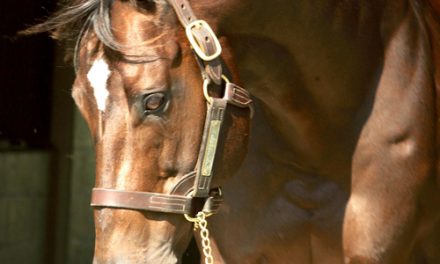 Maryland’s All-Time Leading Thoroughbred Sires