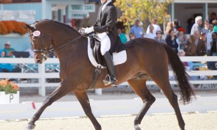 New Awards & Championships for Dressage Riders