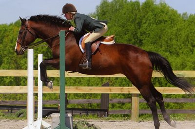 Howard County Horse Shows Honors Gretchen Mobberley