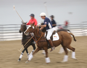 2023 Thoroughbred Makeover Adds Broodmare Division