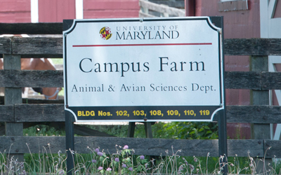 UMD Campus Farm