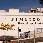 Pimlico Construction Delayed