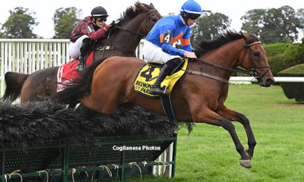 Zanjabeel Named Eclipse Steeplechase Horse of the Year