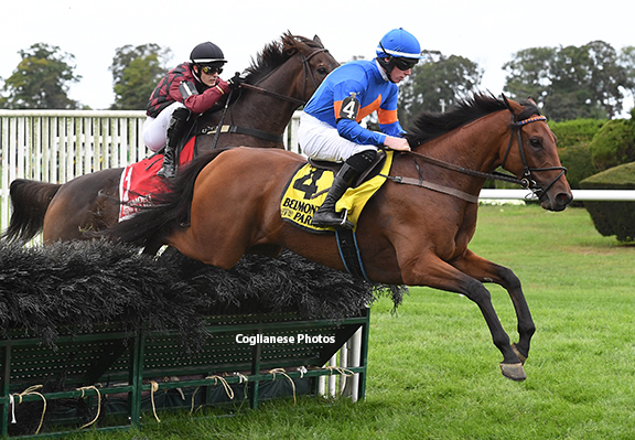 Zanjabeel Named Eclipse Steeplechase Horse of the Year
