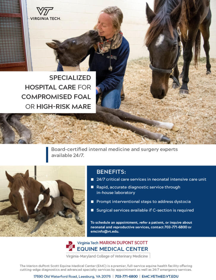 EMC Foal & Mare Care