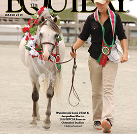 March Equiery Cover Story….