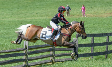 Results from a Weekend Full of Steeplechasing!