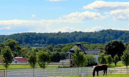 Horse Farms Can Be a Climate Change Solution!