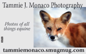 Tammie J. Monaco Photograghy