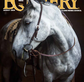 About This Month’s Cover: “Mercury”