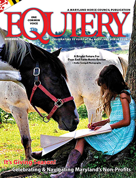 About this month's cover: Days End Farm Horse Rescue - The Equiery