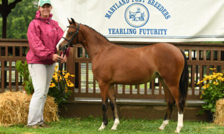 Covenant Freedom Song Wins Yearling Futurity