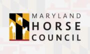 USEF Proposed Changes to Horse Abuse Rules