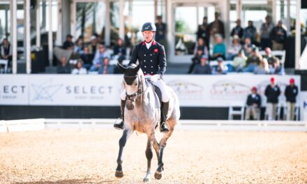 Young Event Horse Champions Crowned