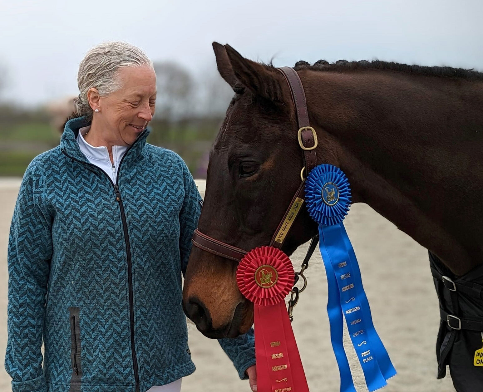 Maryland-Bred Sport Horses Win Big in 2023